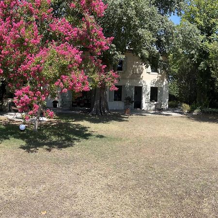Alpilles Camargue Mas Falabrego Raphèle Εξωτερικό φωτογραφία