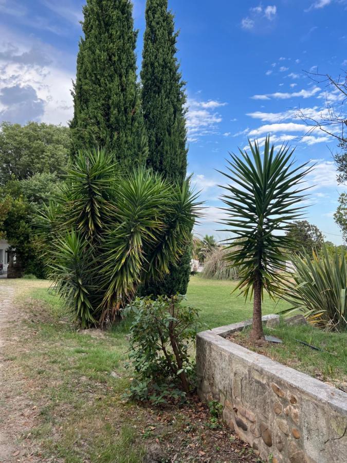 Alpilles Camargue Mas Falabrego Raphèle Εξωτερικό φωτογραφία
