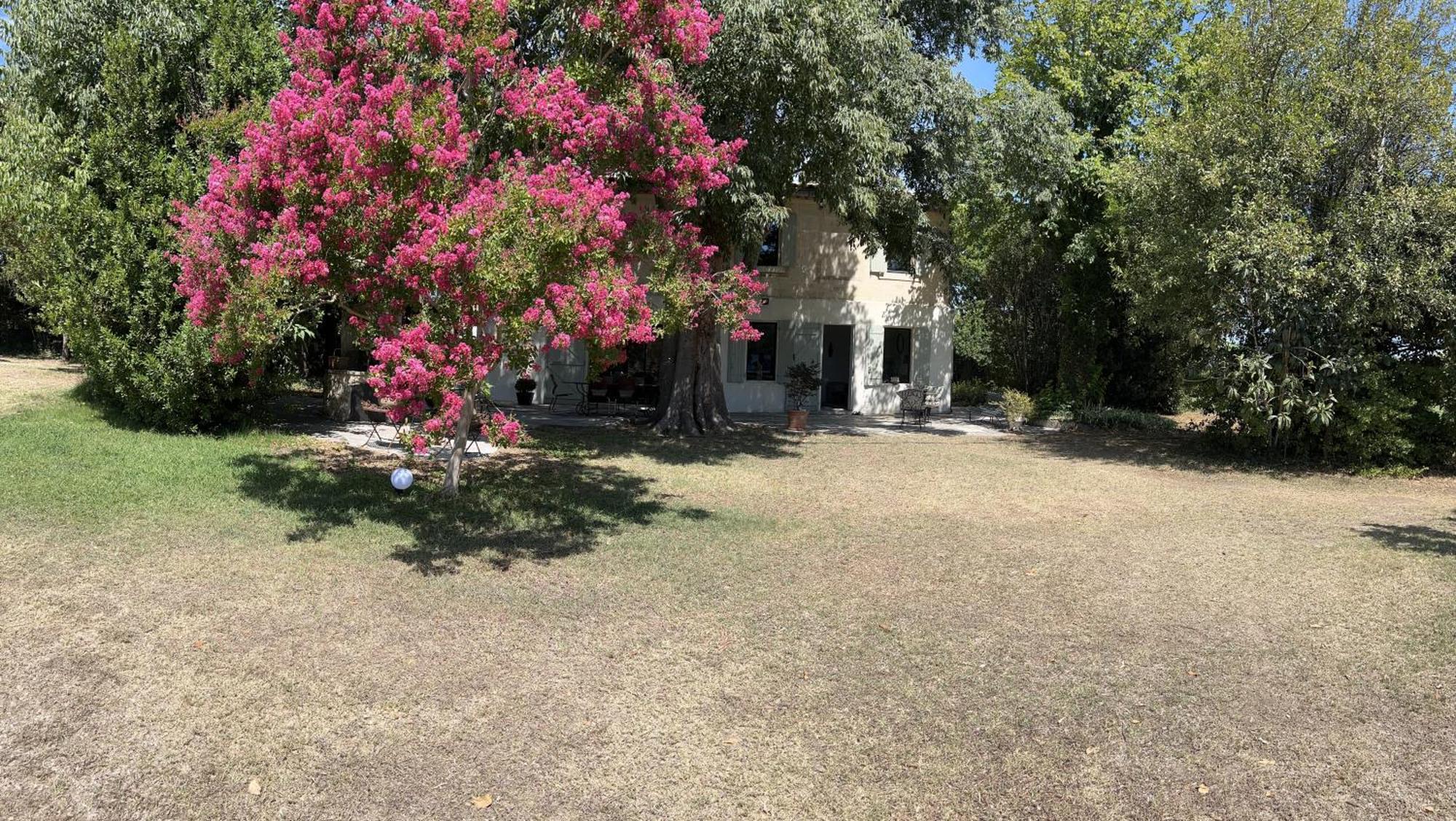 Alpilles Camargue Mas Falabrego Raphèle Εξωτερικό φωτογραφία